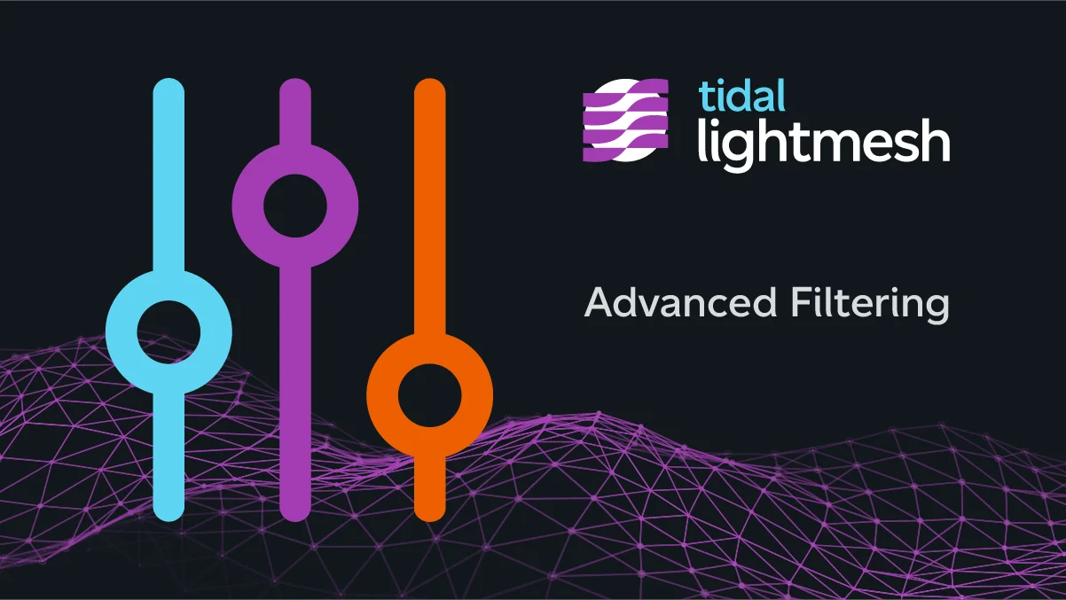 Precision at Scale: LightMesh Advanced Filtering