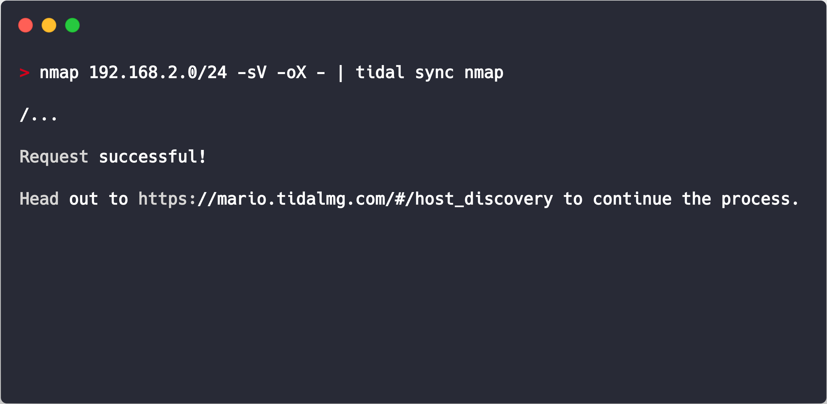 Nmap tidal cli example