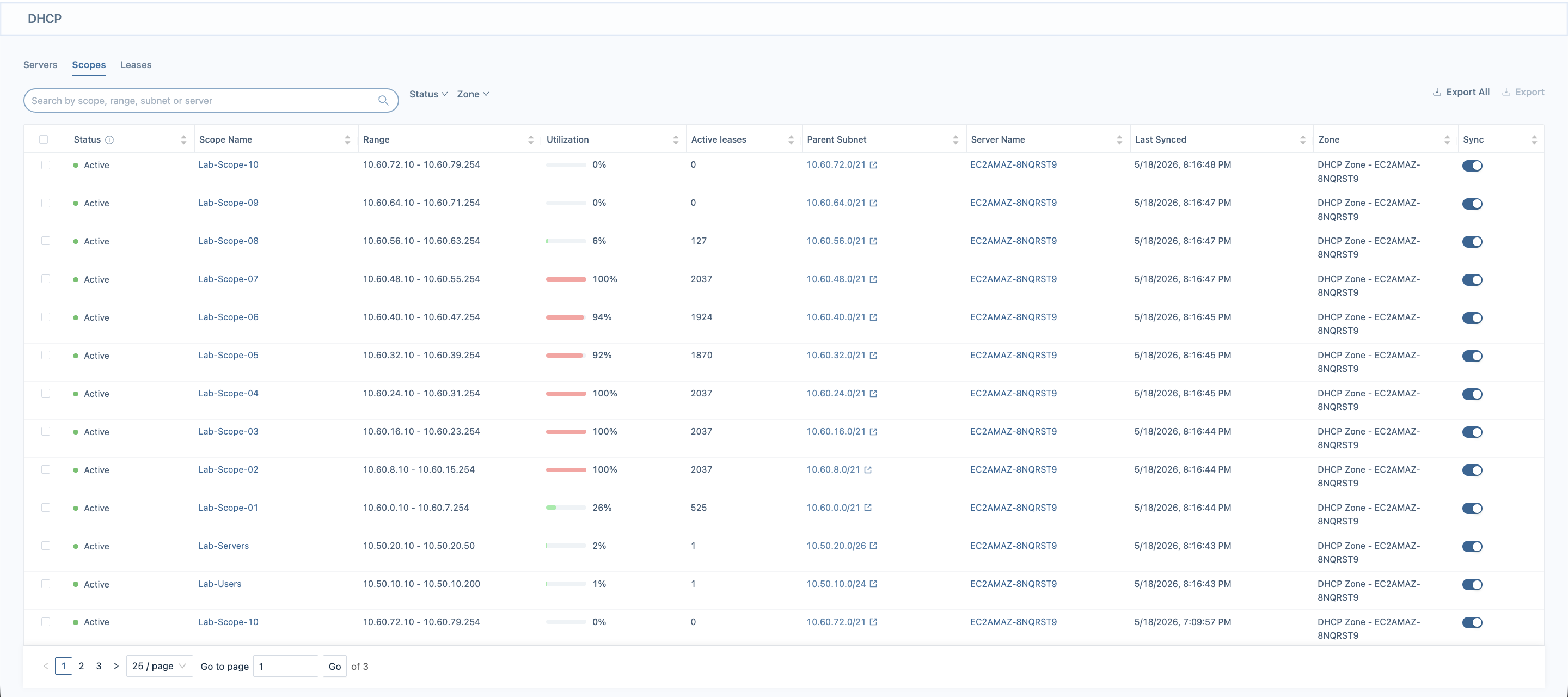 DHCP scopes view of utilization and essential data as displayed inside LightMesh